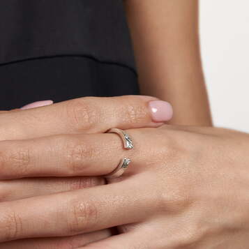 Anillo Rusk Plata pequeño